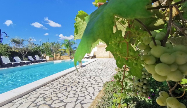 Villa B&B Antiche Macine del Salento