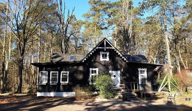 Villa Babuschka - beautiful wooden house in the forest