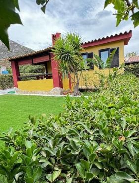 Villa Birds