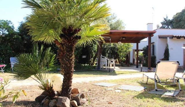 Villa Blanca