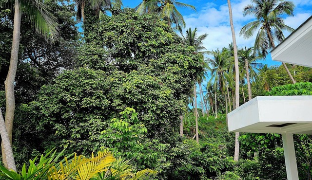Villa Blue Vanilla - 2BR Modern Villa/private Pool in amazing Ko Samui