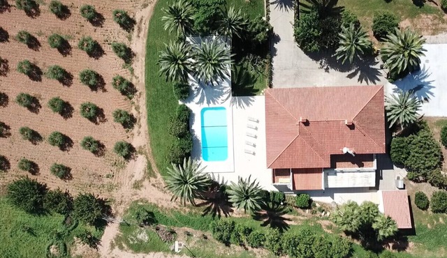 VILLA CAN RIBES - OASIS PALMA