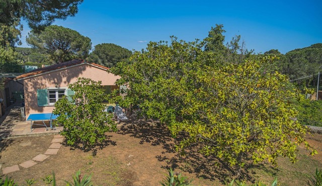 Villa Capo Perla immersed in a magnolia garden a few steps from the sea