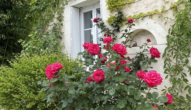 Villa Cassandre
