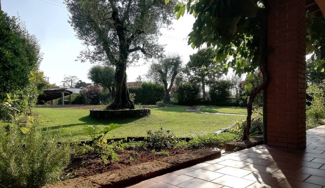 Villa Caterina Country Apartment - Independent apartment with garden