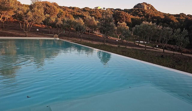 Villa Celeste/Private/Escape To Nature/Olive Groves/Sea Views