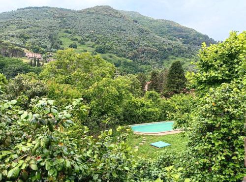 Villa con parco e piscina-Camaiore