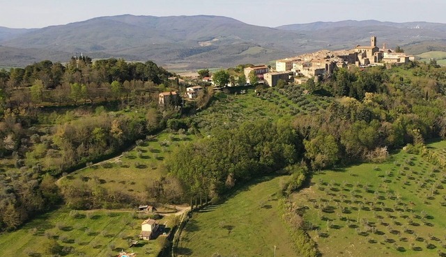 Villa con piscina e giardino ad uso esclusivo