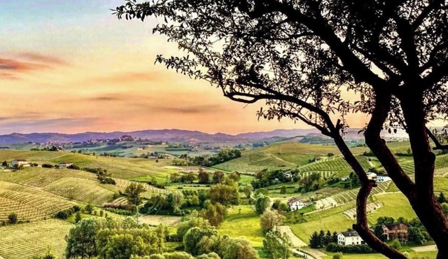 Villa Corleone