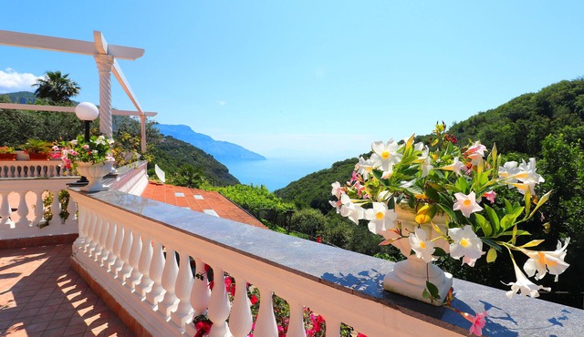 Villa Costanza Sorrento B&b