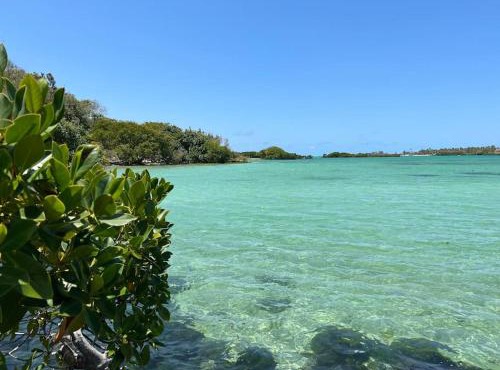 Villa Cotzot, 3 chambres, pieds dans l'eau