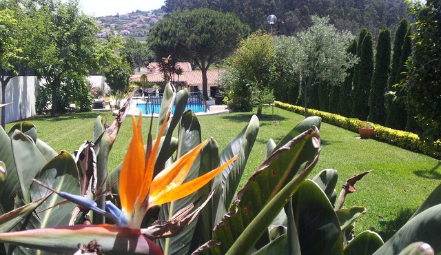 Villa D'Arcos