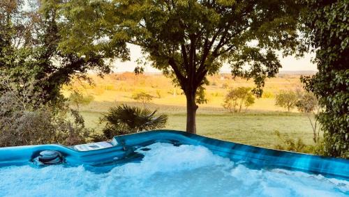 Villa des Vignes et Spa