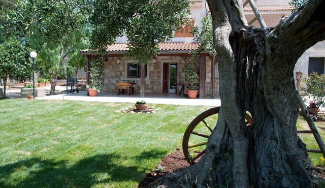 Villa Don Cosimo among Ancient Olive Trees