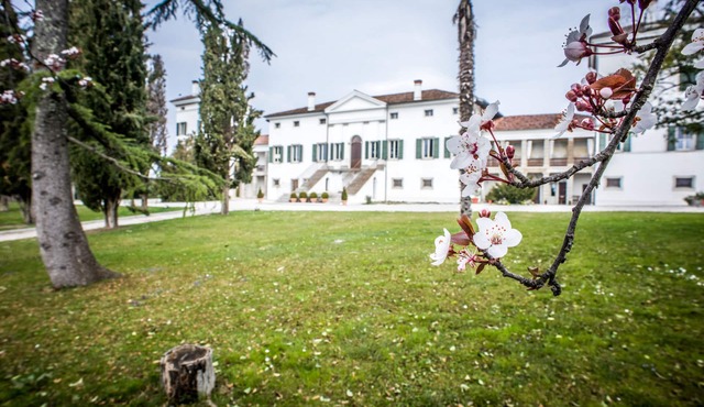 Villa Dragoni