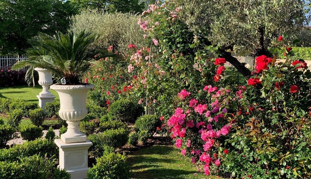 Villa Elizabeth