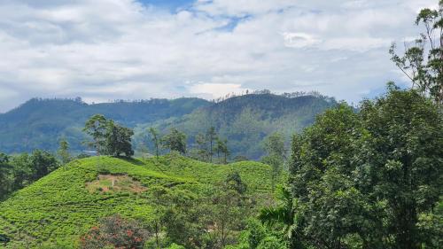 Villa Emerald Ella