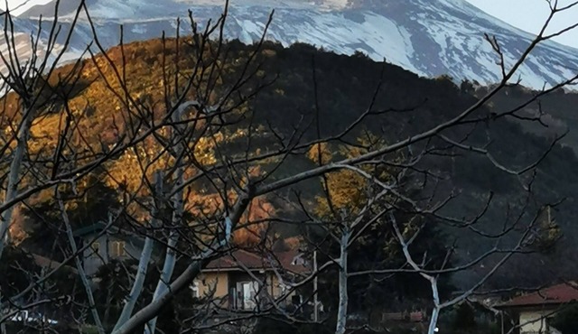 Villa Etna a charming stay along the slopes of the Etna volcano