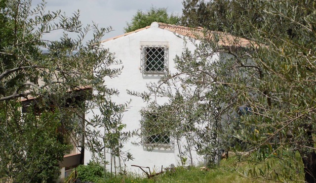 Villa Ferulas, surrounded by nature