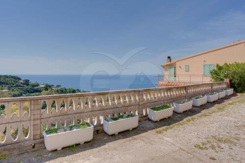Villa Flora - Goelba