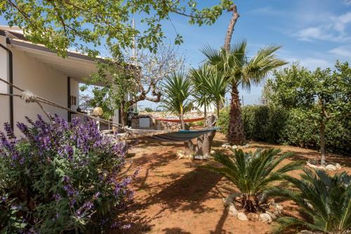 Villa Gelso - Experience a Pescoluse