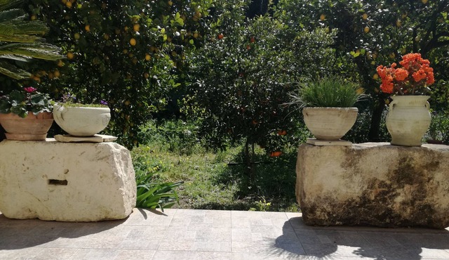 Villa immersed in a lemon grove, 500 meters from the baroque center of Noto