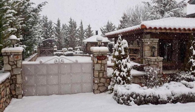 villa in Parnassos