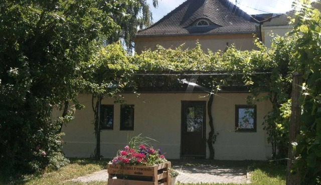 Villa Julchen Comfortable holiday residence