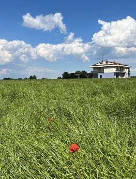 Villa Kalos