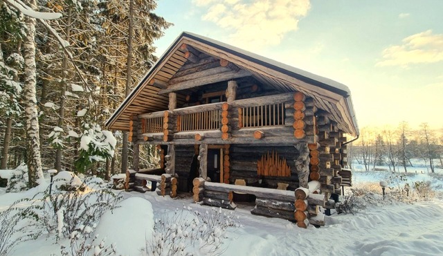 Villa Kaunisvirta