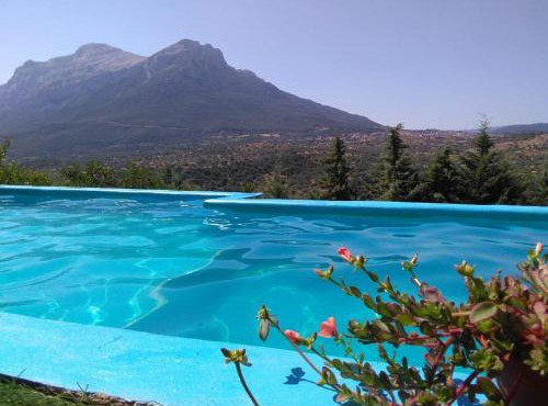 Villa L'Oleandro