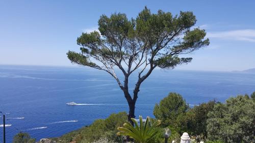 villa la guardia