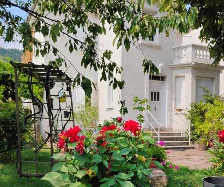 Villa Le Marronnier, clim, Terrasse, Parking & Spa privé, calme, entre Colmar-Riquewihr et Obernai, Route des vins d'Alsace
