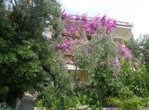Villa Libertas