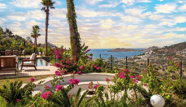 Villa Loca