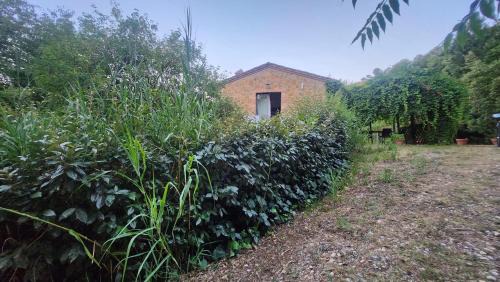 Villa Lorena