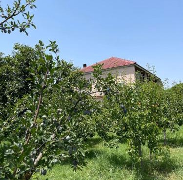 Villa Mance