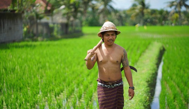 Villa Mandi Resort & Spa