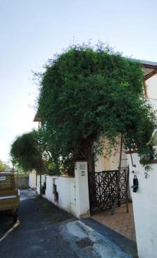 Villa Maria