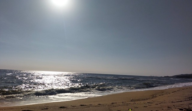 Villa nature beach
