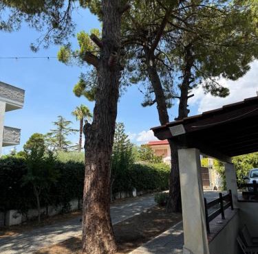 Villa Nina
