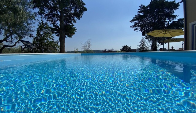 Villa Olive Oasis