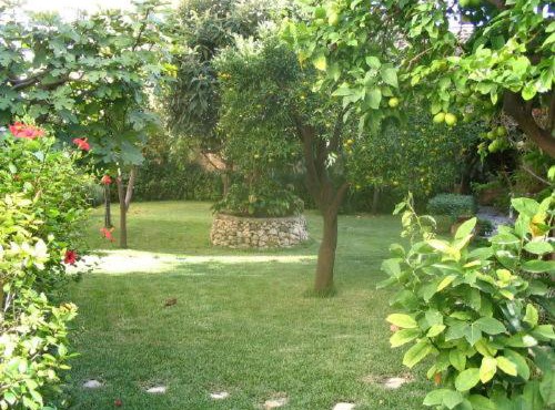 villa Palma
