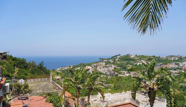 Villa 'Panorama Isola Di Ischia' with Sea View, Wi-Fi and Air Conditioning