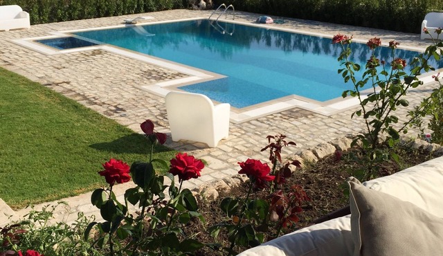Villa Paradiso surrounded by green olive trees of olive and carob