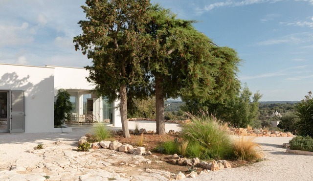 Villa Pettirosso on an elevated terraced olive grove,
