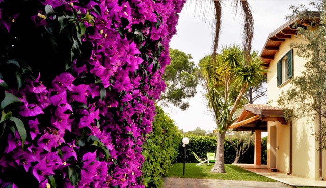 VILLA POSEIDONE RESIDENCE ALACA