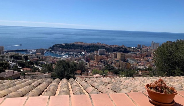 Villa Provencale VUE Monaco