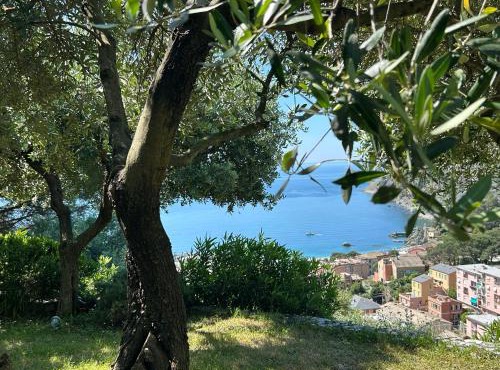 Villa Renata - amazing sea view garden terrrace