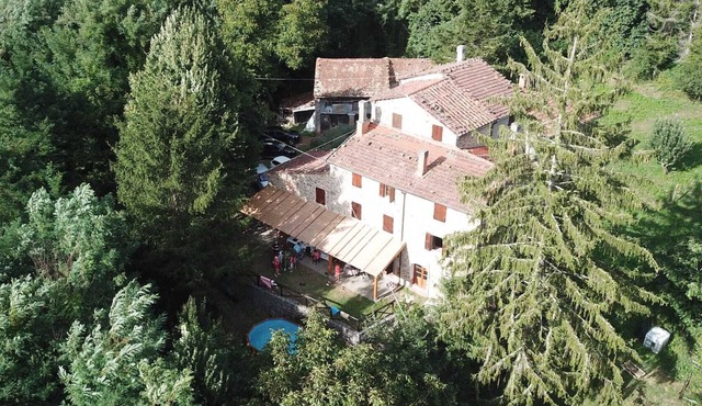 Villa surrounded by greenery